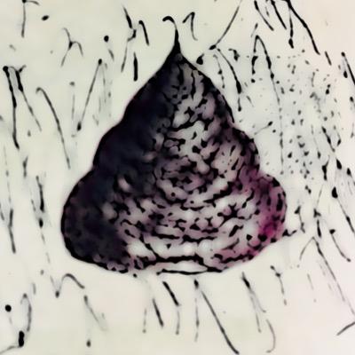 フォローよろしくです！  PSID【mahan-desu】