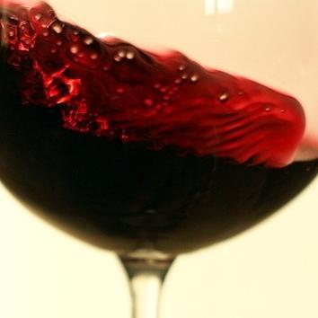 vinar v @dva_duby || winemaker at @dva_duby