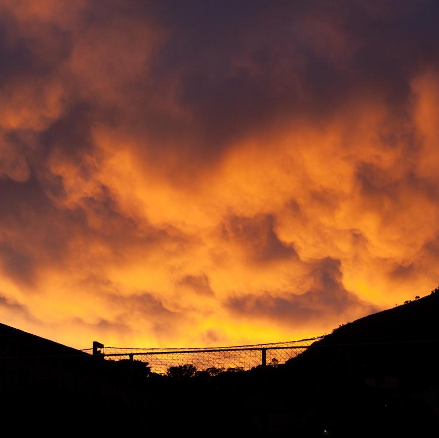 JBrookstone's profile picture. Person encrusted sentient tea.