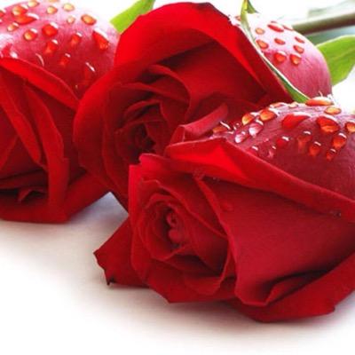 yatzury76's profile picture. 