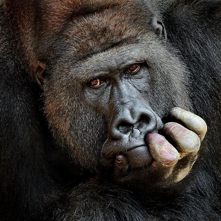 ReallifeRealist's profile picture. Twitting life events, sharing philosophical and ethical issues to make you wiser.