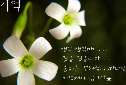 사랑, 용서, 축복