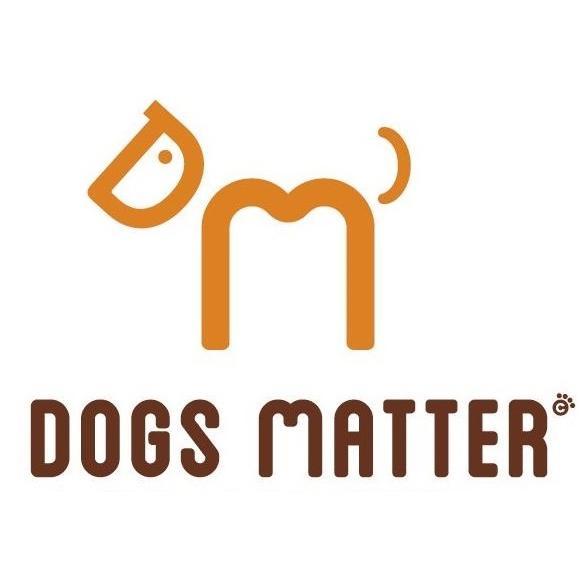 Dog Training in and around Exeter. From initial pet training to advanced classes in Dog Agility or Competitive Obedience.