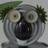 koalaebooks's profile image