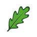 Green Tour (@greenveneto) Twitter profile photo