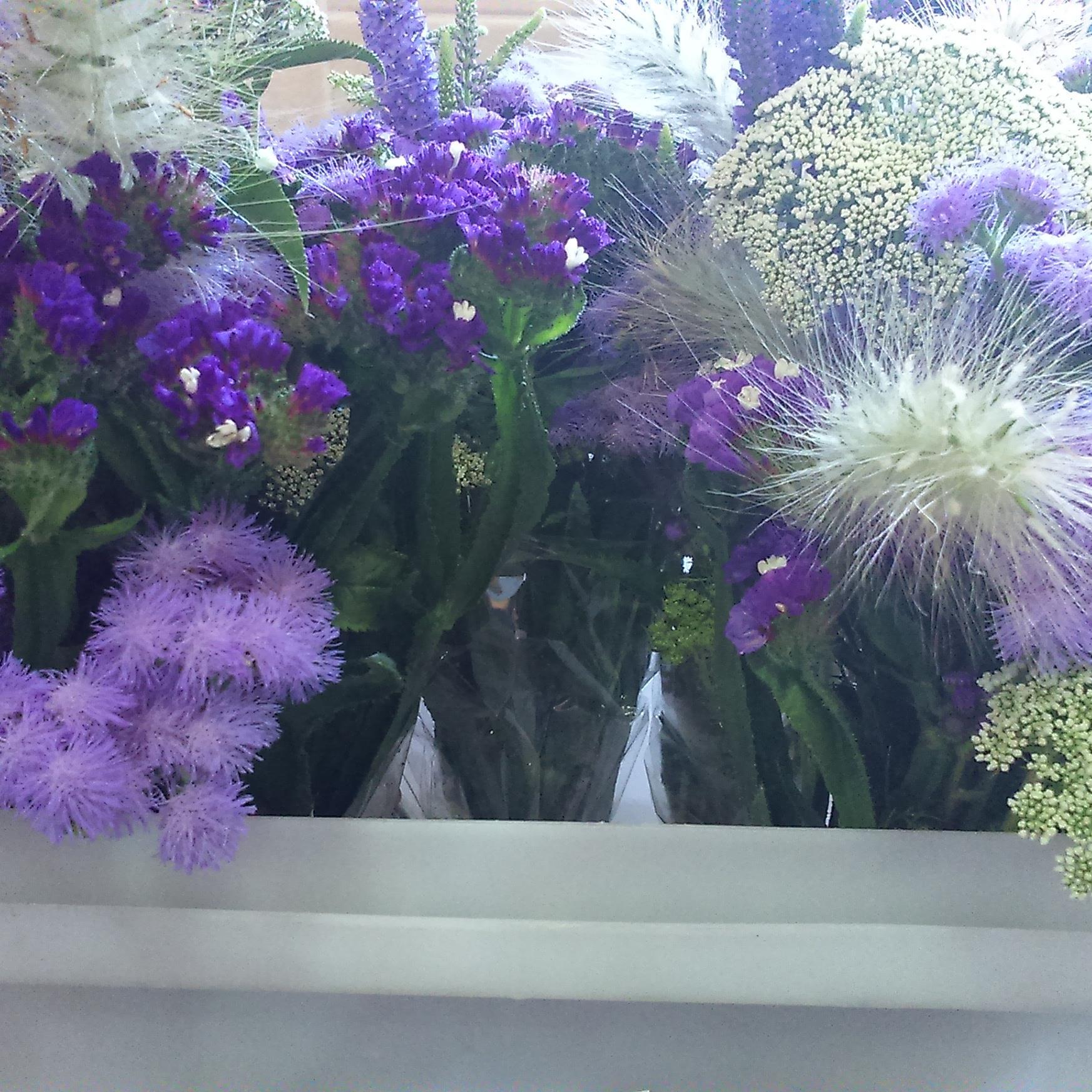 Cut flower business based in Kent.