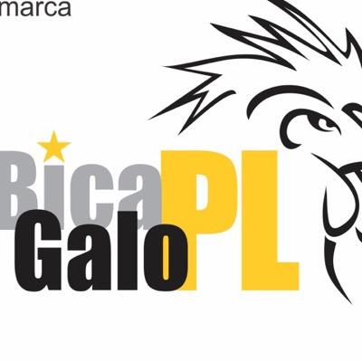 Associação de Torcedores do Clube. Atleticanos de Coração - Ajudar o Time é nosso ideal