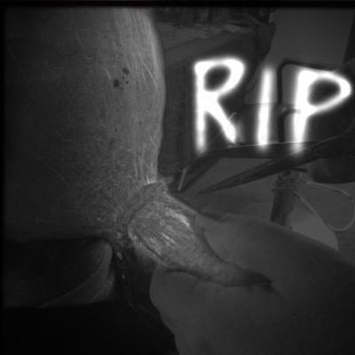 JaredsPonytail's profile picture. 