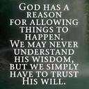 lauren willson - @willson_lauren - Twitter