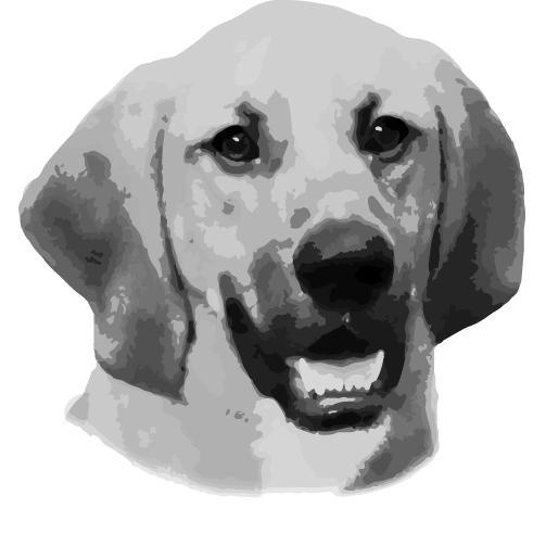 Doggy Daycare & Boarding, Pet Sitting Services, All-Natural pet treats, including FroDog Frozen Yogurt. Chemical free shampoos and sprays.