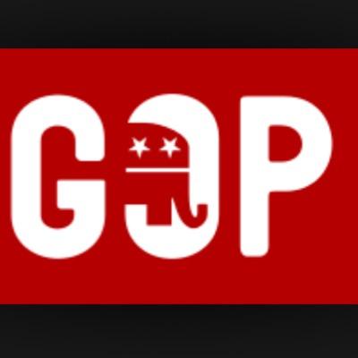 I believe in the platform values of the Republican party. I support the new 114th Republican controled Congress.