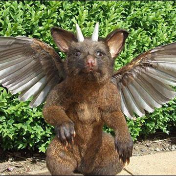 実際に存在する動物を合成してみました！
ちょっと可愛くて買いたくなっちゃうｗ