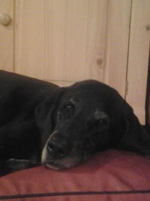 adelgreco3's profile picture. 