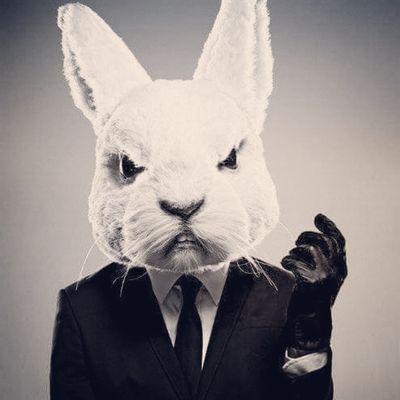 zaixior's profile picture. Ex-game journalist and freelancer. Still a gamer. 
Program Manager at https://t.co/wtt0GO1dFv