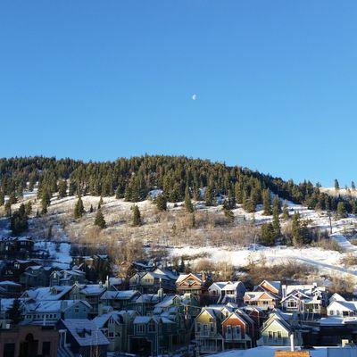 MainAndSKY's profile picture. 