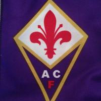 Gaetanino Molino (@gaetaninomolino) 's Twitter Profile Photo Gaetanino Molino (@gaetaninomolino) 's Twitter Profile Photo