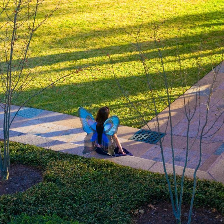 sandradrcruz's profile picture. 