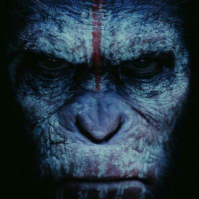 yamaxim65's profile picture. 