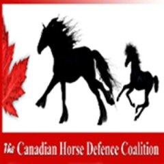 The Canadian Horse Defence Coalition is a collective  of people and  groups joining forces to ban equine slaughter in Canada.