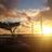 Sonny_Semivelho's profile image