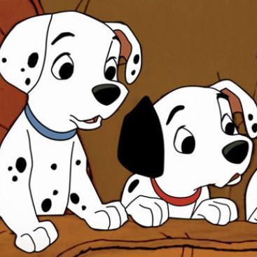 101_Dalmatianss's profile picture. 