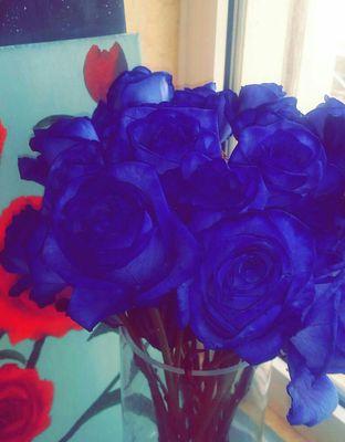 بَلَغْتُ طُموحاً صارَ لي حَياة..♡