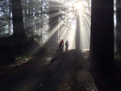 93de9d6e20e64e3's profile picture. 