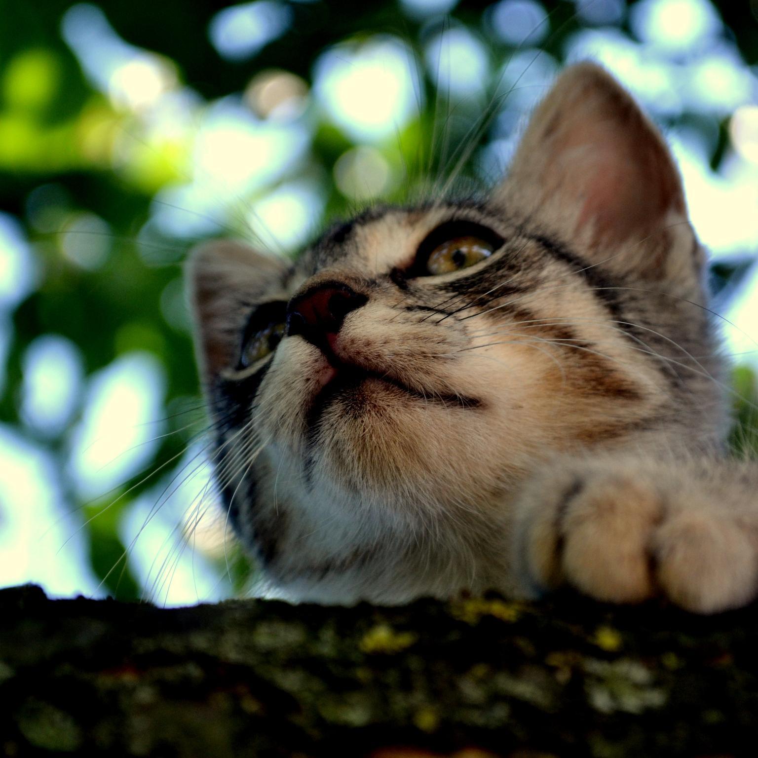 DerangedDesign's profile picture. I can make myself see, but the thinking stops. Maybe this is my design. [Roleplay account | #Hannibal | #EatTheRude | #ThisIsMyDesign | MC]