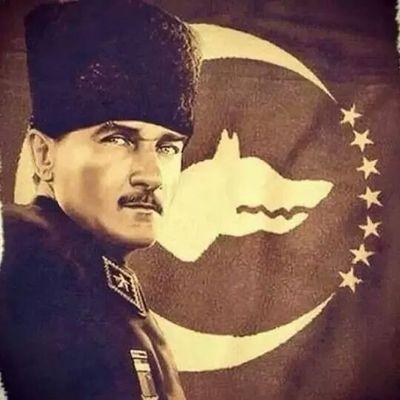 EtYiyenCicek99's profile picture. 