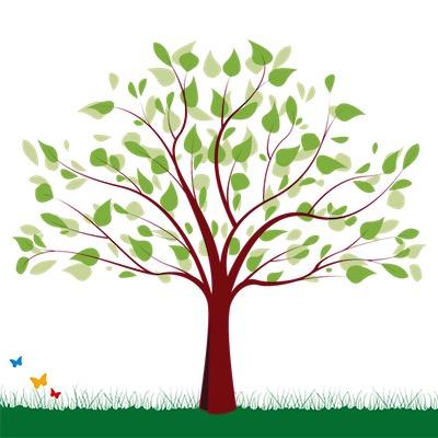 Il portale nasce con il desiderio di portare ai propri clienti solo il meglio nel campo della bio-cosmesi e dei preparati naturali.