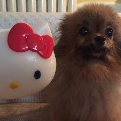 engingee's profile picture. 