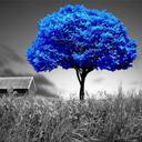 esme Sánchez - @EsmeSanchez55 - Twitter