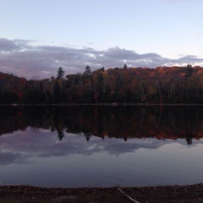 ingroam's profile picture. 