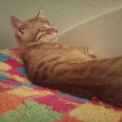 DorisHohler's profile picture. 