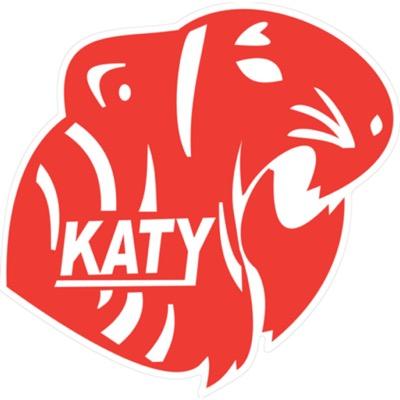 Katy High School Dive Team