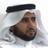 mohdshanan1's profile image
