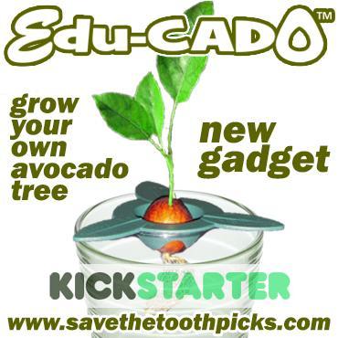 Edu-CADO™ is the NEW educational gadget that helps you & your kids sprout an avocado pit & grow your very own guacamole tree WITHOUT toothpicks