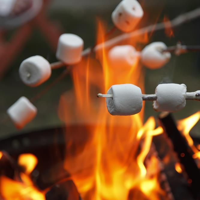 Wildcat Camping is a family run business in Sheffield. We specialise in hiring out camping equipment and bell tents for families, schools, groups and  glamping.