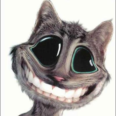 SoSex27's profile picture. FOLLOW & JE TE FOLLOW. Tu veux du tweet drôle, beau ou vrai ? Abonne toi