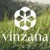 Vinzana (@vinzanamx) Twitter profile photo