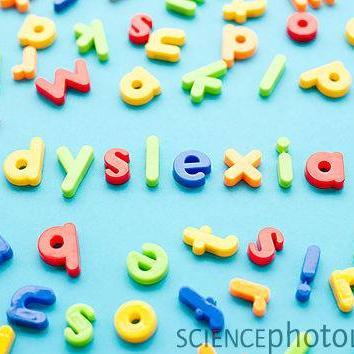 We provide dyslexia testing and therapy for students of all ages. Academic tutoring (office, school, and home) and summer enrichment programs are available!