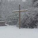 tonya dye - @TonyaDye1982 - Twitter