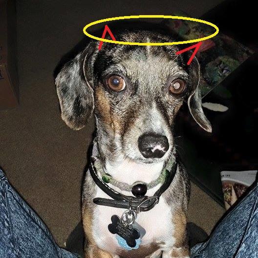 Thomasm05974997's profile picture. 