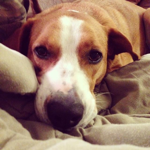 KWohlford70's profile picture. Dad, Husband, golf nut, aspiring wine connoisseur