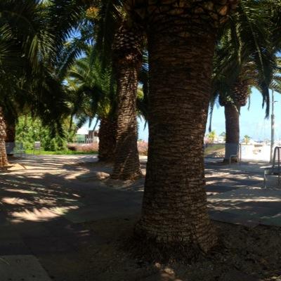 Dumcedric's profile picture. 