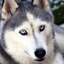 Jada price - @jadaboprice - Twitter