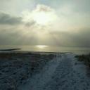 Daniel Bernhardt - @dbernhardt1703 - Twitter