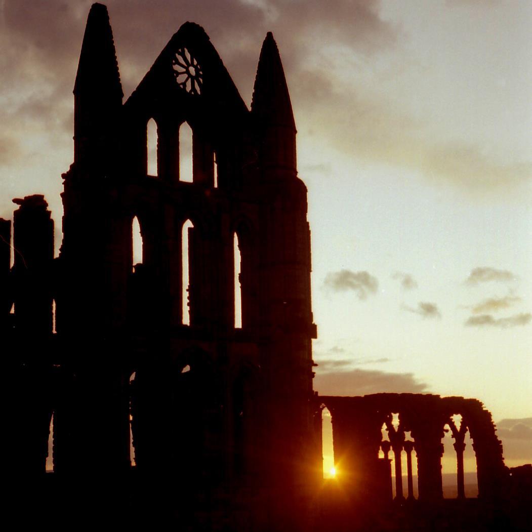 I am a professional photographer with Parkinson’s living in the beautiful town of Whitby.