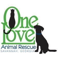 One Love - One Life at a Time. If interested in adopting please email adoptme@oneloveanimalrescue.com