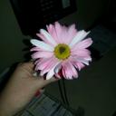 patti robb - @RobbP38 - Twitter